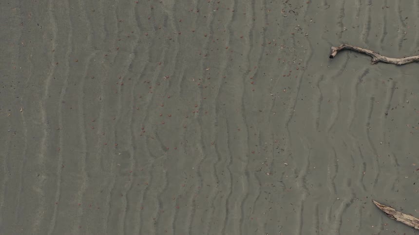 An aerial view of a sandy beach
