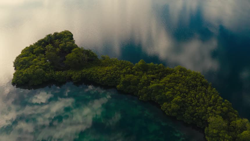 Island covered with vegetation surrounded by calm water seen from above