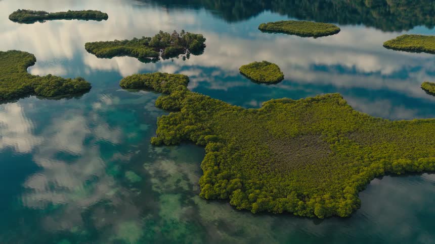 Trees and vegetation on islands off the coast as clouds and sky reflect on the water