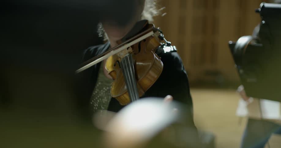Woman plays a violin during the day