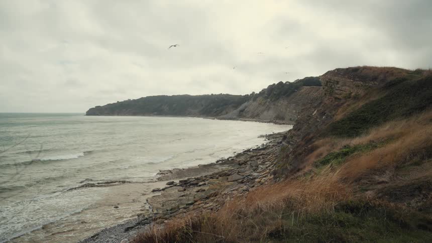 A rocky shoreline with a hill covered in brown grass due to the fall season on a cloudy day as the wind drives waves toward the shore