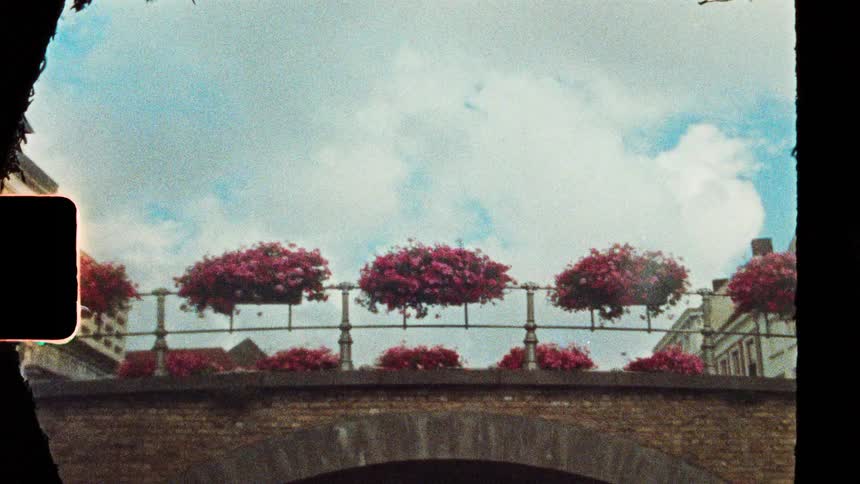 A boat passing under a stone bridge adorned with vibrant pink flower baskets while passengers look toward the historic buildings and cloudy sky as the camera tilts upward to the underside of the arch