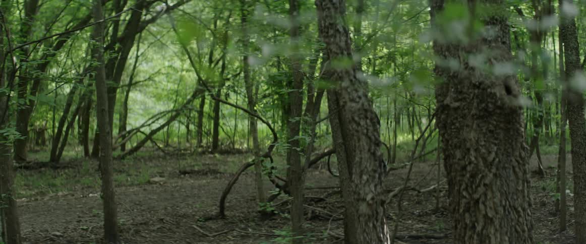 A man pushes his bicycle through the woods