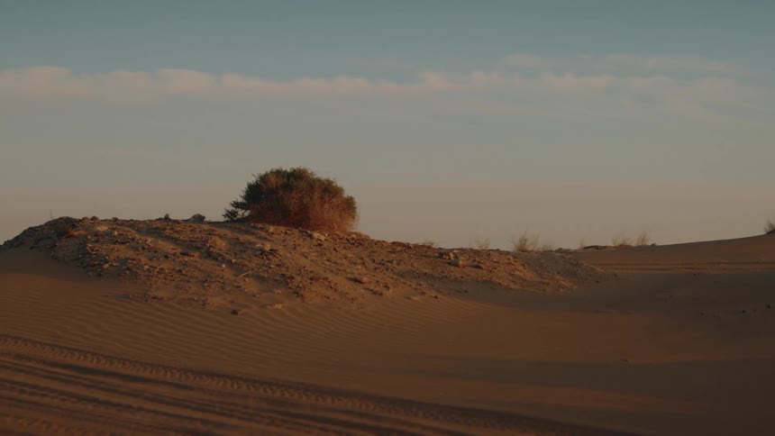 A view of a desert area shows sand and a small shrub under a blue sky during the day