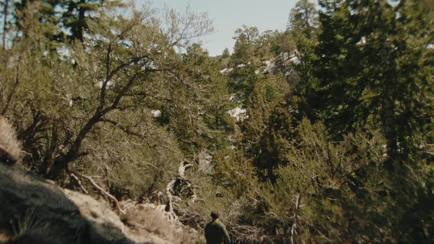 Man hiking on a the side of a mountain with his dog