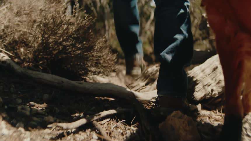 A person wearing blue jeans and hiking boots walks along a rocky sunlit trail they are accompanied by a dog visible as a blur of golden fur on the right side of the frame