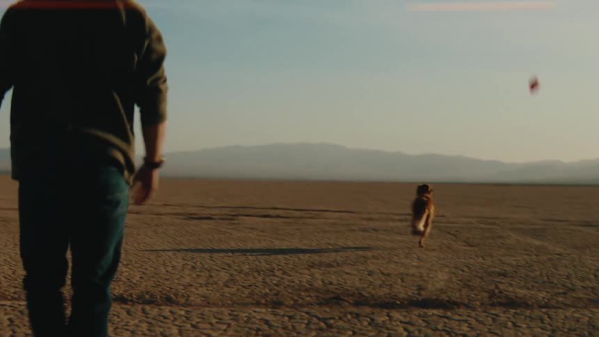 A golden retriever runs across a dry desert plain to catch a red ball thrown by a man wearing a dark shirt and blue jeans during a clear sunset with mountains in the background