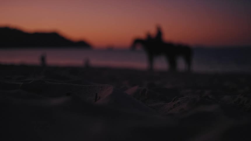 A blurred silhouette of a person riding a horse stands on a beach at sunset with warm orange and purple hues glowing over the water and distant hills