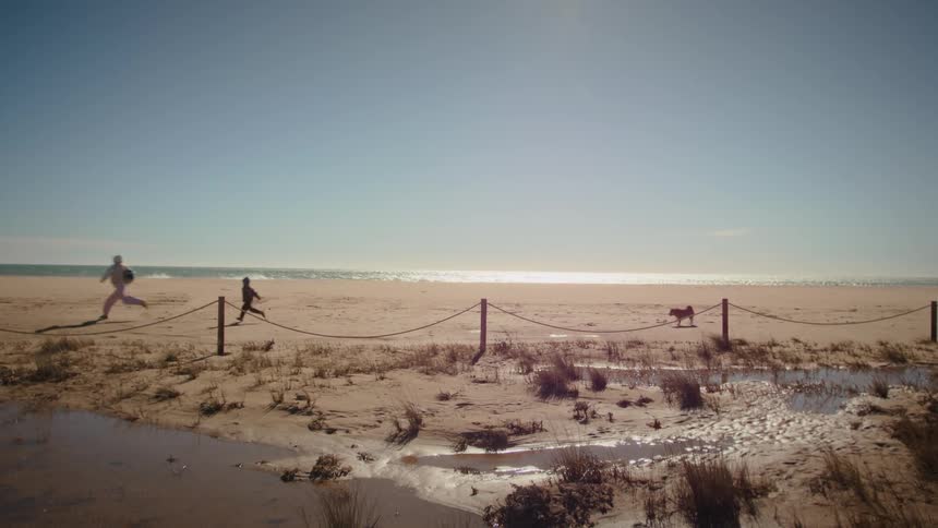 A woman and a young child run across a sunny beach followed closely by a dog trotting behind them along a fenced path the scene is captured in a wide shot with bright natural light reflecting off the sand and distant ocean waves