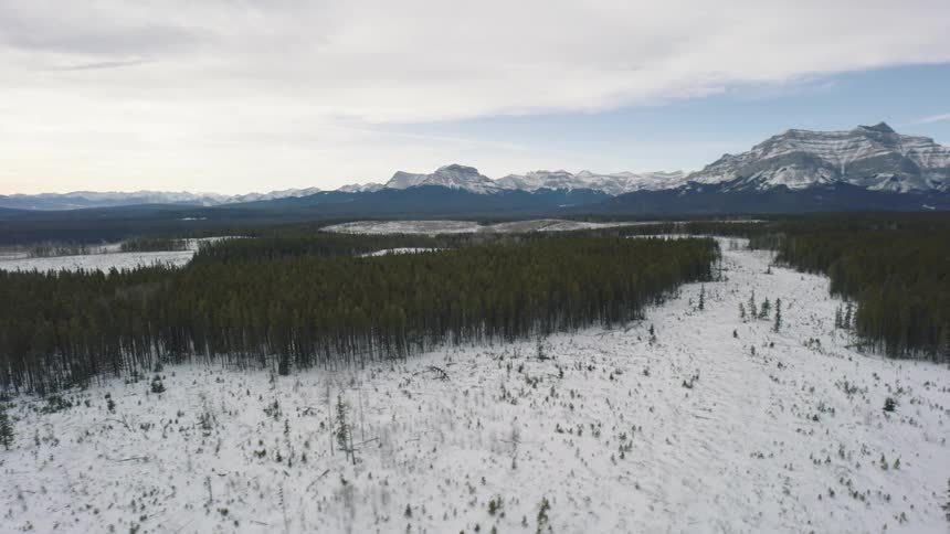A vast winter landscape featuring a dense evergreen forest and snow covered plains under a cloudy sky with a massive mountain range rising in the distance