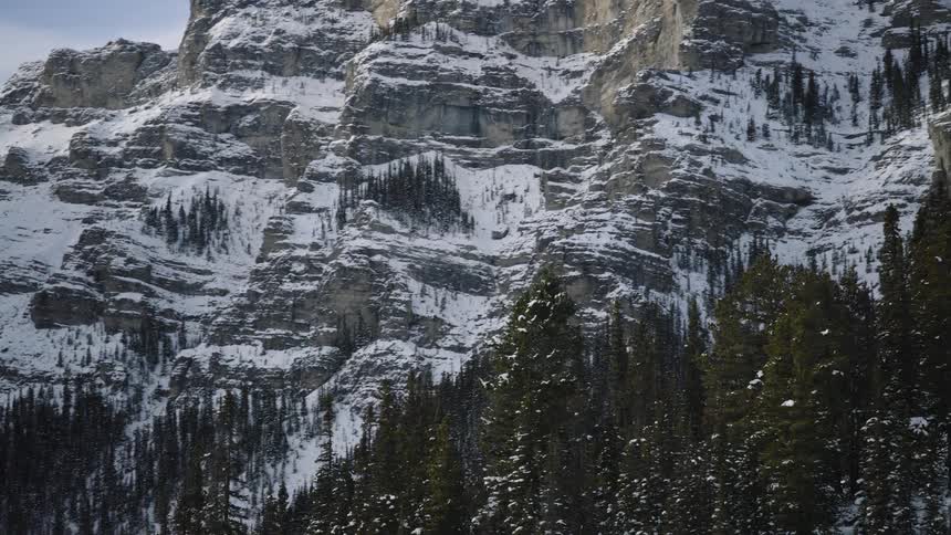 A massive mountain face with steep rocky cliffs and scattered snow stands tall behind a dense forest of dark green pine trees under a pale winter sky
