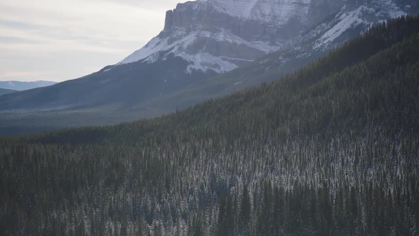 Forest on the slope of a mountain next to a valley with other mountains on the background outdoors during day time