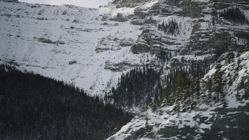A wide view of a steep mountain side covered in white snow and dense evergreen trees passes by during a cold winter day