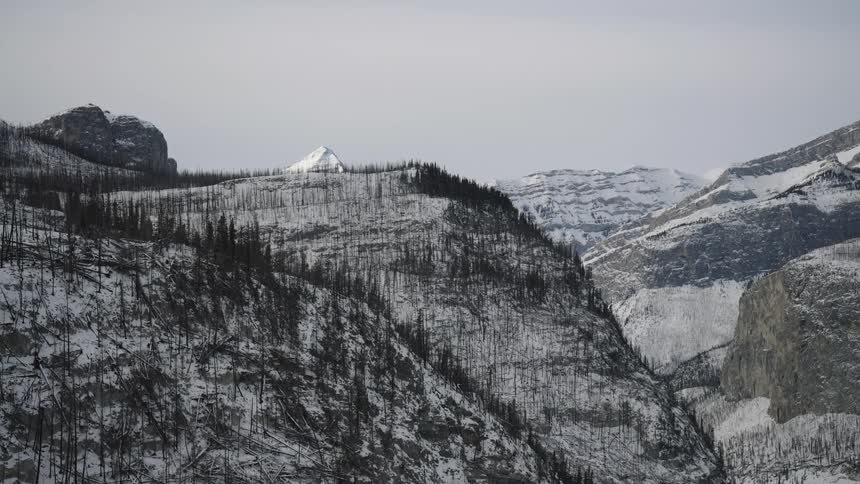 Snowcovered mountains with forested slopes and peaks in the background