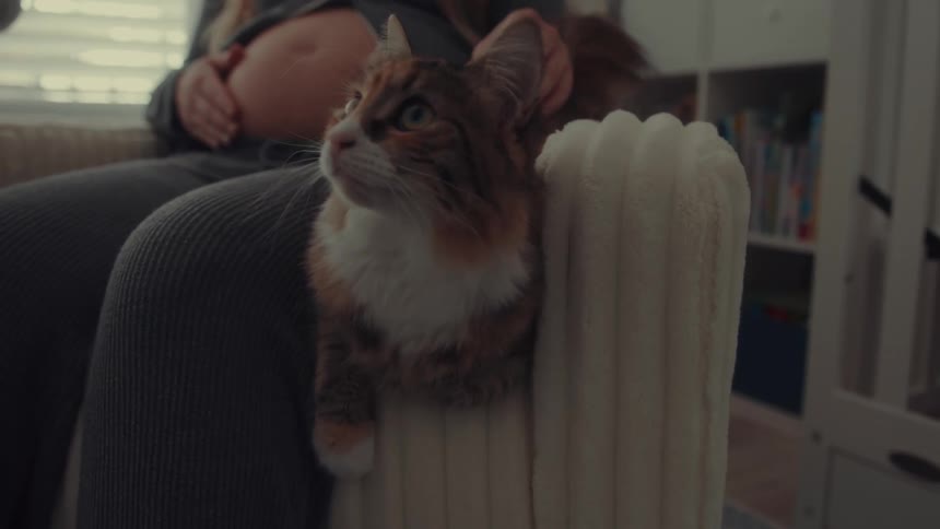 Pregnant woman sitting and petting a cat while resting her hand on her belly