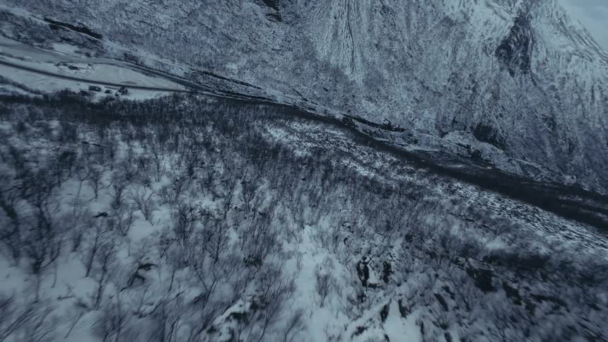 Bare trees on a forested mountainside with a road running through the valley