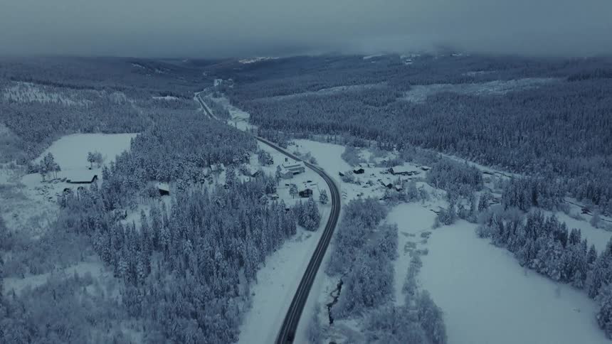 An aerial view of a snow covered forest