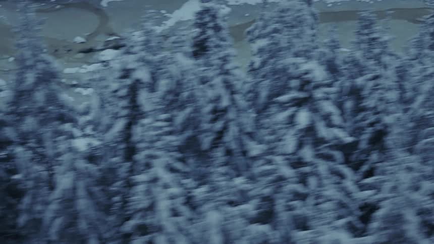 Truck traveling on a forested mountain road along the coast on a winter day