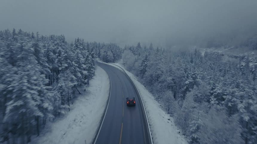 Car driving along a winding road between snowcovered trees under fog