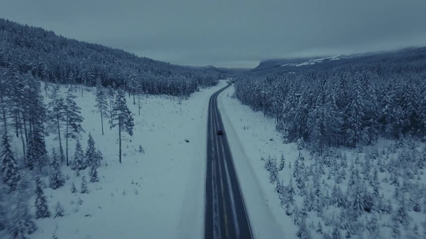 An aerial view shows a single dark vehicle traveling along a winding road that cuts through a vast snowcovered forest the surrounding landscape is blanketed in white with dense clusters of frostladen trees stretching toward distant overcast hills