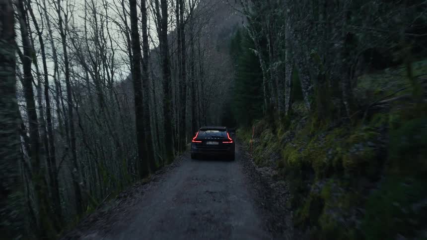 A sedan driving on a narrow countryside road with leafless trees lining the sides and a mountain range in the background