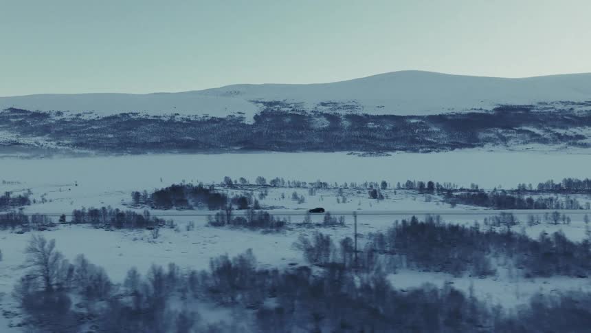 An aerial view of a forest landscape