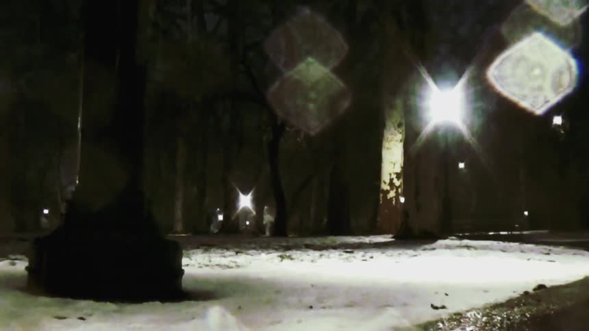 Snowcovered park path lit at night