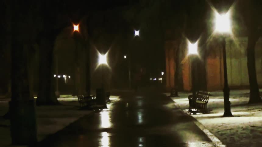 Wet park pathway at night lit by lampposts