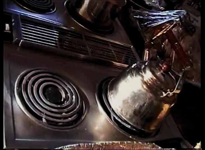 Roasted turkey prepared for festive meal