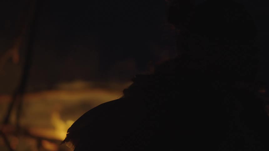 Large fire burning logs and branches at night