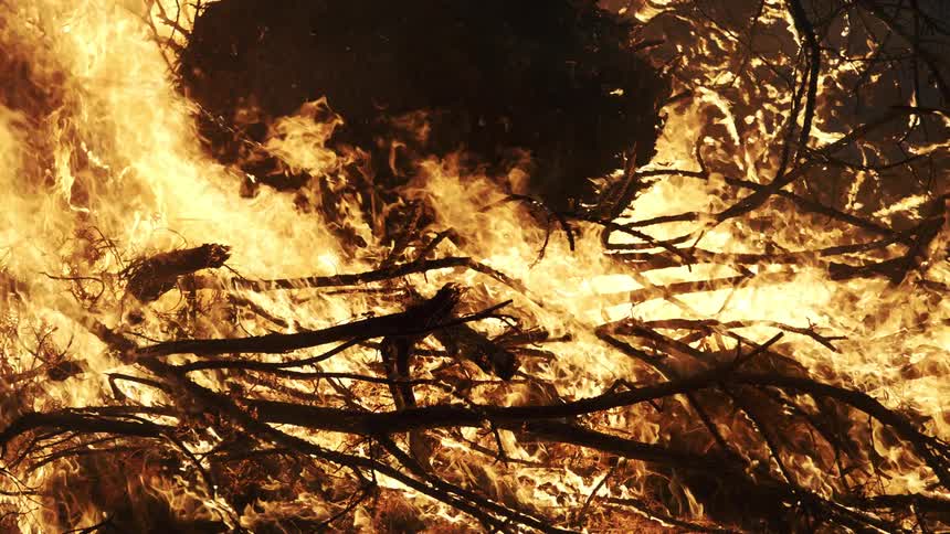 A tree engulfed in flames at night