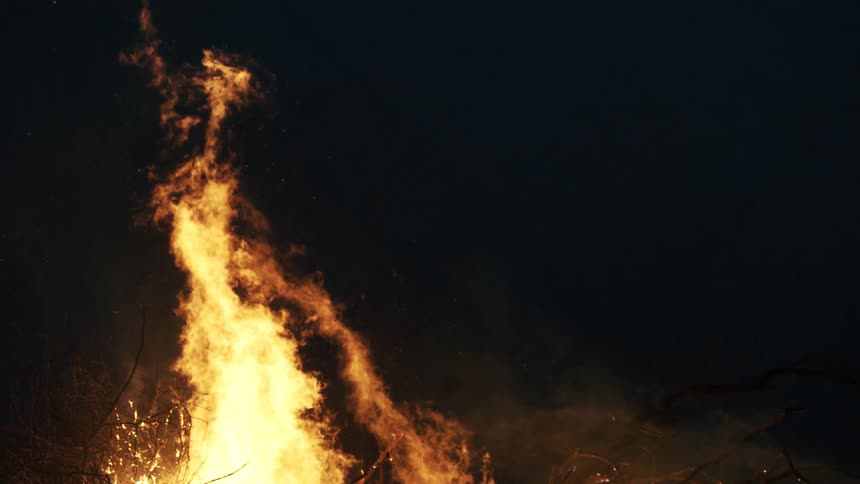 Blazing forest fire with flames stretching high into the air as trees burn