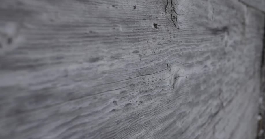 A grey weathered wooden wall showing deep natural grains and small knots