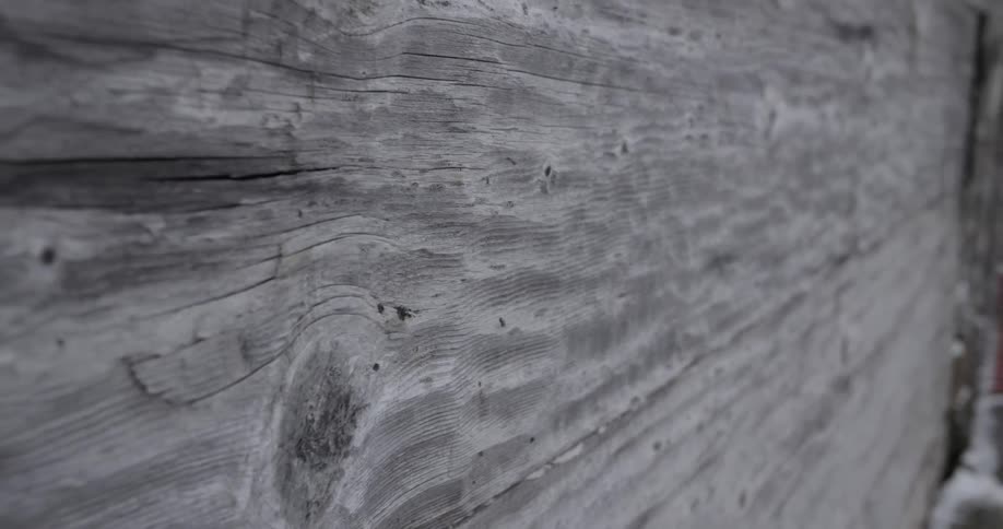Closeup of an outdoor area of a wooden wall