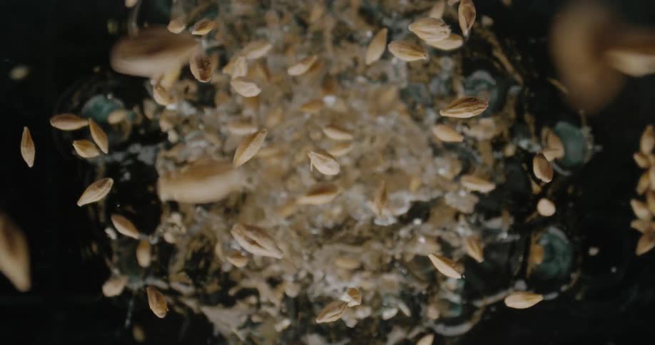 A closeup shot captures grains or seeds scattering outward in midair against a dark background and water