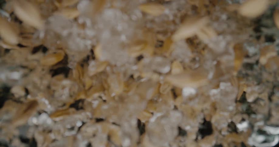 Multiple light brown barley grains fall rapidly into clear water against a dark background creating dynamic splashes and bubbles as the seeds submerge and swirl through the liquid