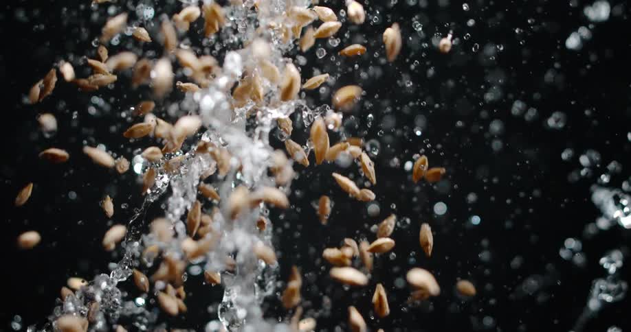 Grains suspended in motion with water splashes