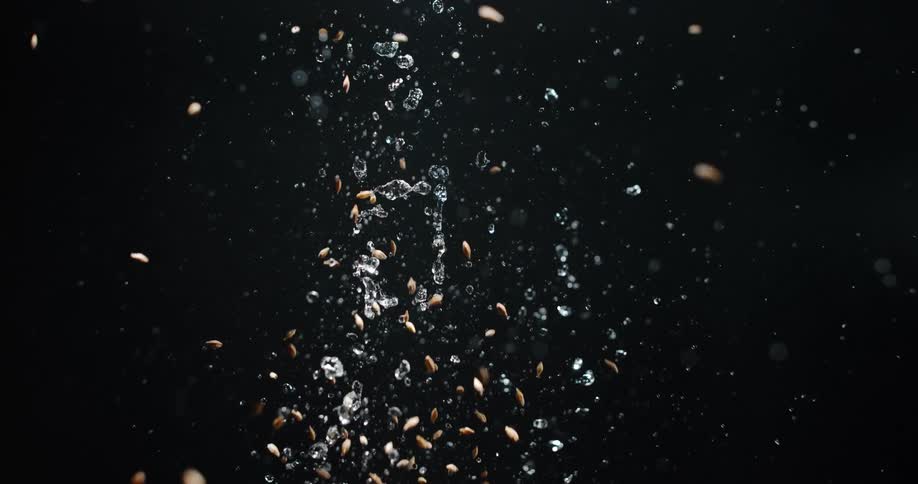 Small brown seeds and clear water droplets splash together against a solid black background in a slow motion view