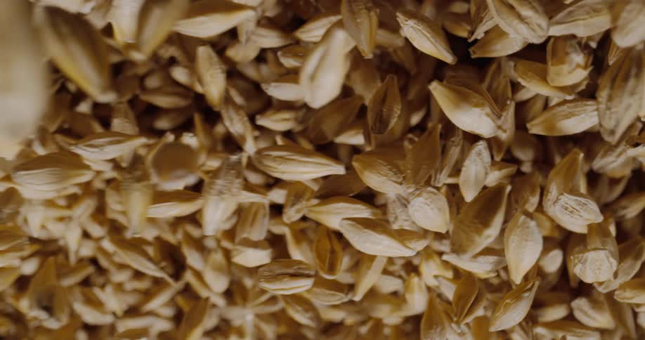A pile of grain erupting in a silo