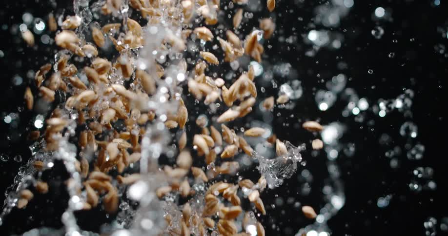 A close view in slow motion shows many brown grains falling through a stream of splashing water against a solid black background