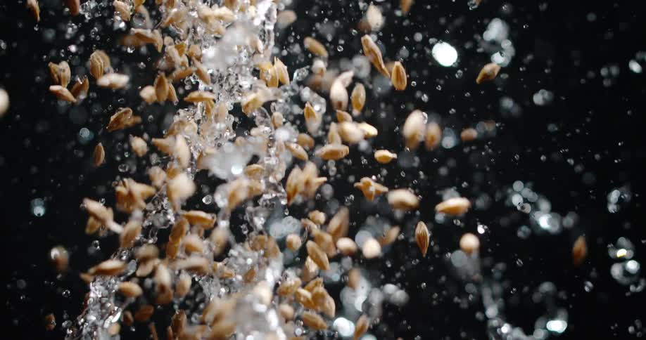 A stream of clear water splashes upward against a dark background as a handful of brown grains falls through the liquid