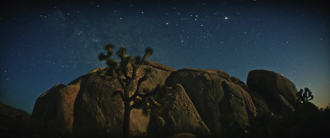 The milky way galaxy and a field of stars rotating across a dark blue night sky in the foreground a silhouette of a joshua tree stands against large rock formations as the celestial bodies move behind them