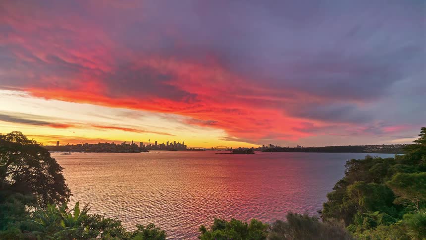 A wide view time lapse shows a colorful sunset over a harbor with a city skyline and bridge in the distance as purple and orange clouds move across the sky above the water and green trees in the foreground