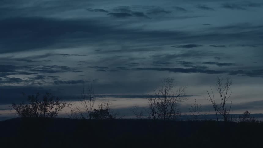 Bare trees along the coast and mountains across the distance landscape
