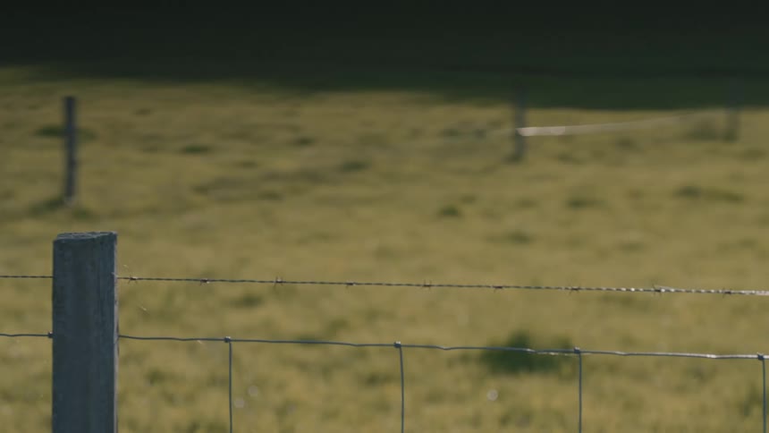 A barbed wire fence stretches across the foreground with wooden posts overlooking a sunlit grassy field with a cross grave in soft focus