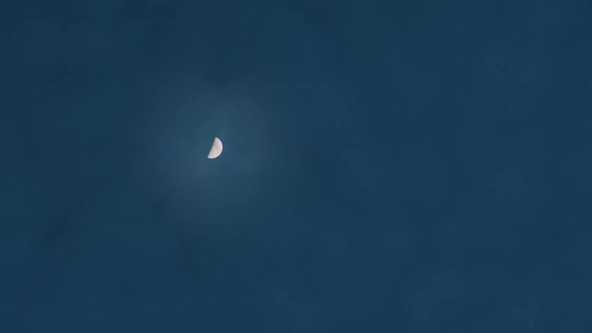 Half moon glowing in the night sky