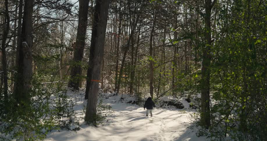Small child walking through the snow into the woods