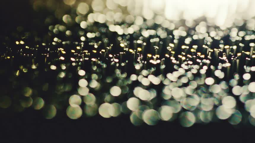 A close view shows the dark bristles of a brush while bright golden light reflects off the tips and creates a blurred glowing effect against a black background