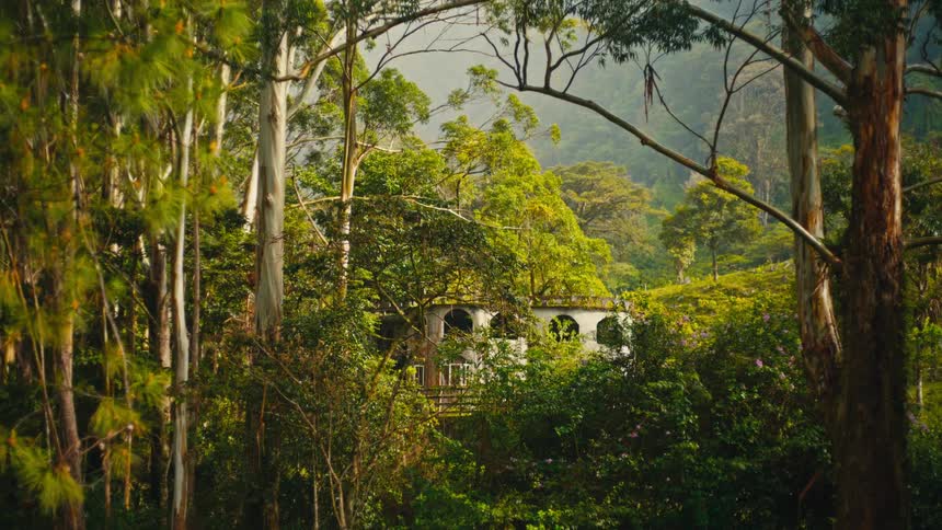 Tucked away within a dense sundrenched forest a white stone cottage with arched windows sits quietly as tall eucalyptus trees sway gently in the soft mountain breeze
