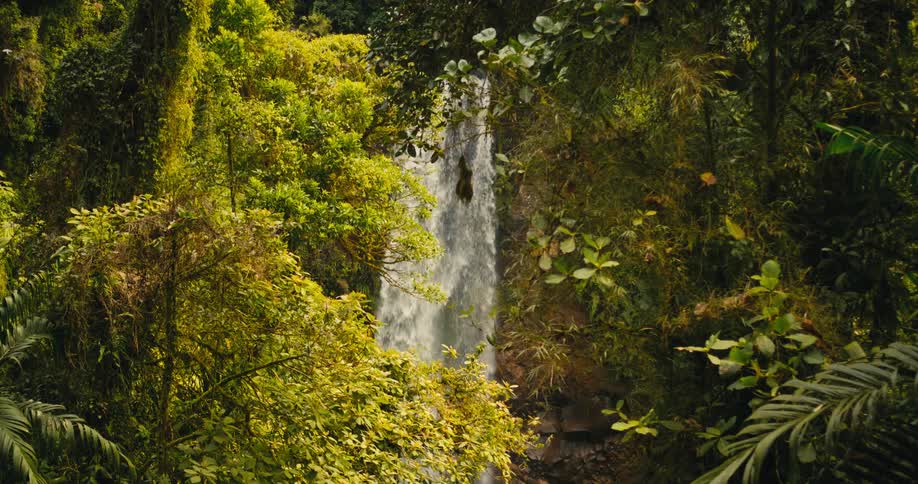 A waterfall in the middle of a forest